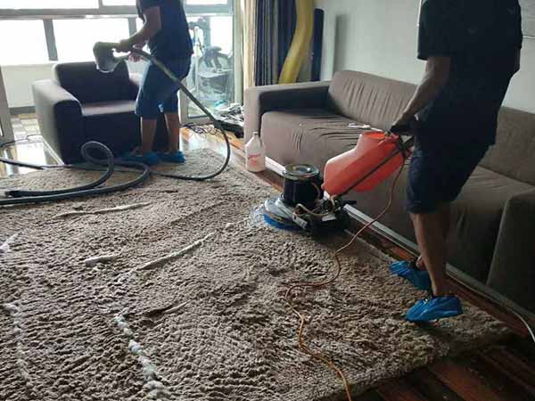 浦东地毯清洗公司包括地毯清洗、地毯翻新、地毯杀菌、地毯补洞以及地毯换面等