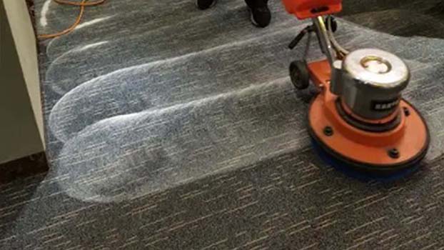 地毯上宠物尿渍清洗