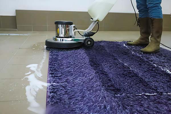 尼龙地毯清洗价格